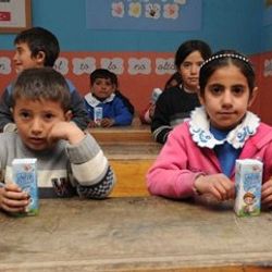 Okul sütü ihalesi onaylandı