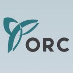 ORC'nin çatı aday anketi