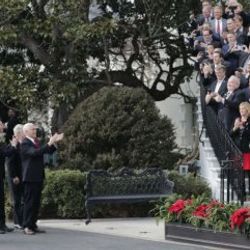 Melania'nın emri ile 200 yıllık ağaç kesilecek