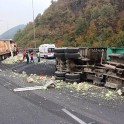 TEM'de TIR ve kamyon çarpıştı