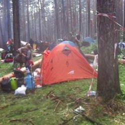Rusya’da festival alanında fırtına: 10 ölü