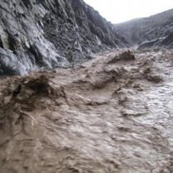 Afganistan sele teslim oldu: En az 81 ölü