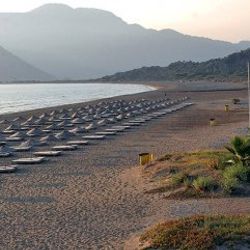 Plajların özellikleri internetten öğrenilebilecek
