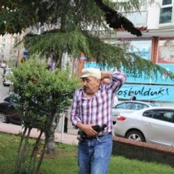 Yavrusu düşen karga insanlara saldırdı İZLE
