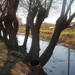 Sulama kanalına düşen 2 yaşındaki çocuk hayatını kaybetti