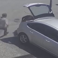 Suçüstü yakalanan hırsız serbest kaldı