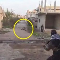 Saniye saniye El-Cezire muhabirinin vurulma anı