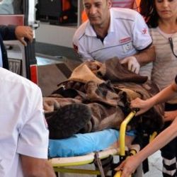 Şırnak'ta kaçak işletilen madende göçük: 1 ölü