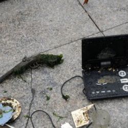 Kadıköy'de deniz temizliği
