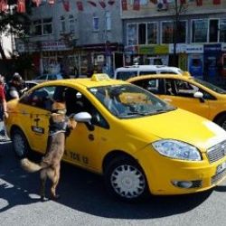 İstanbul'da taksi ve minibüslere denetim