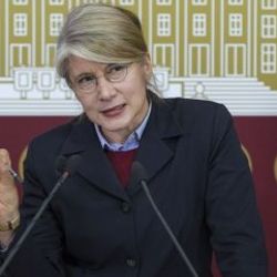 Emine Ülker Tarhan'ın partisine sörfçü başkan