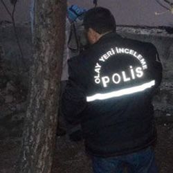 Tekirdağ'da şüpheli kemikler