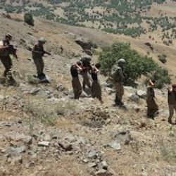 Diyarbakır'daki terörle mücadelenin bir yıllık bilançosu