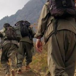 Van’da 2 PKK’lı öldürüldü