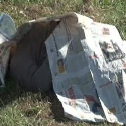 İstanbul'da ağaçlık alanda kadın cesedi bulundu