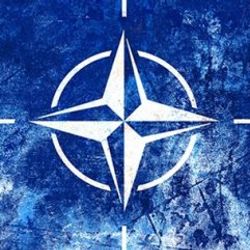 Türkiye'den NATO'ya Musul çağırısı