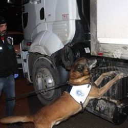Polisten uyuşturucu tacirlerine 7 milyon TL'lik darbe