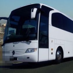 Yolcu otobüsündeki Suriyelinin çantasından mühimmat çıktı