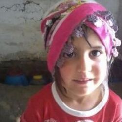 Van'da kaybolan Nehir'i bulana ödül verilecek