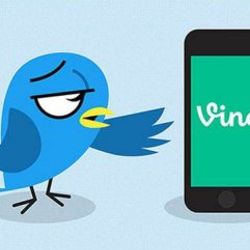 Vine tamamen kapanıyor