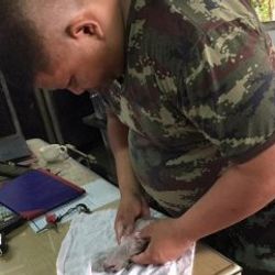 Tayland'da kalp masajıyla hayata tutunan yavru köpek