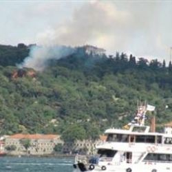 Fethi Paşa Korusu'nda yangın