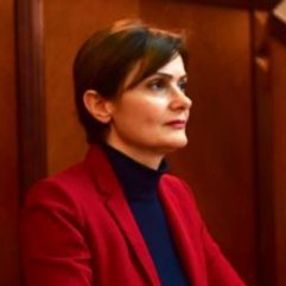 Canan Kaftancıoğlu harekata karşı