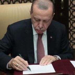Cumhurbaşkanı Erdoğan'dan tek adam esprisi