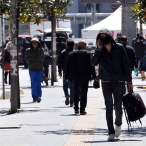 Prof. Dr. Ceyhan: İstanbul'da 250 bin taşıyıcı var