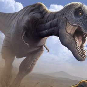T-Rex dinozor türünün sanılandan oldukça yavaş yürüdüğü tespit edildi