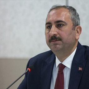 Abdulhamit Gül: Nafaka düzenlemesine Meclis karar verir