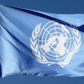ABD'nin BM'de Türkiye karşıtı tasarısını Rusya ve Çin veto etti