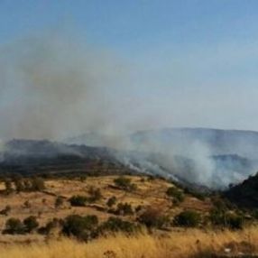 Türkiye'de 12 Ağustos'ta 15 orman yangını