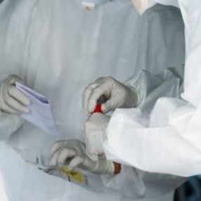 DSÖ: Koronavirüse karşı 20 aşı geliştirildi
