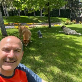 Soylu, sahiplendiği köpeklerin fotoğraflarını paylaştı