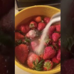 Sosyal medyadaki çilek deneyi, izleyenleri şaşırttı