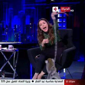 Mısırlı sunucunun zor anları