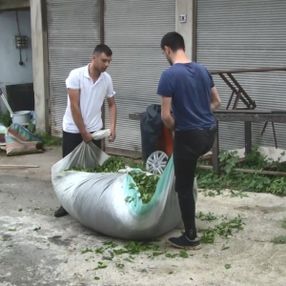 Gürcistan'dan çay işçisi gelmeyince para yurtta kaldı