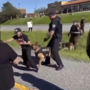ABD'de polis köpeği, göstericiye saldırdı