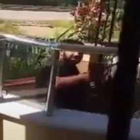 Sokak hayvanlarına yiyecek veren kadını tehdit etti