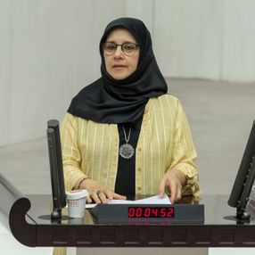 HDP'den Meclis'te terör propagandası