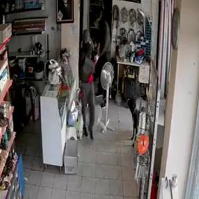 Üsküdar'da dükkana giren hırsızları izleyen köpek