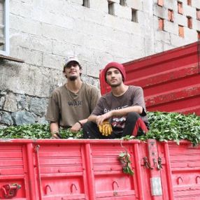Rizeliler, Antalyalı genç çay işçilerini sevdi