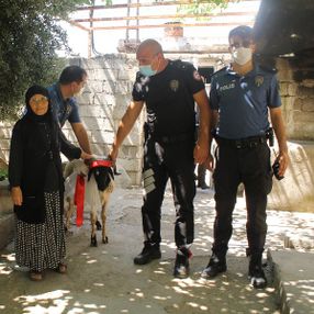 Hatay'da, kurban parasını kaybeden Rahme Teyze'ye sürpriz
