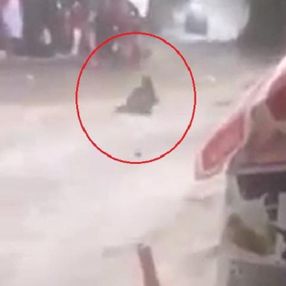 Bursa'da sele kapılan kadın o anları anlattı