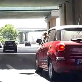 İstanbul'da kucağında köpekle araç kullanan kadın