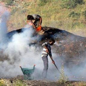Erzincan'da işçilerin zorlu mangal kömürü yapımı