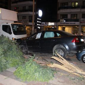 Manisa'da kediye çarpmamak için araçlara çarptı