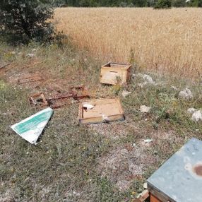 Kütahya'da ayılar arı kovanlarını parçaladı