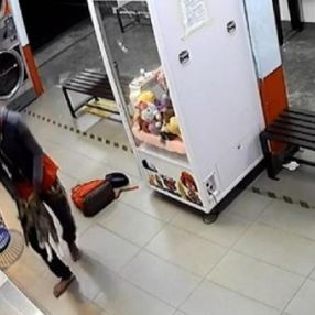 Malezya'da 3 kediyi çamaşır makinesine attı